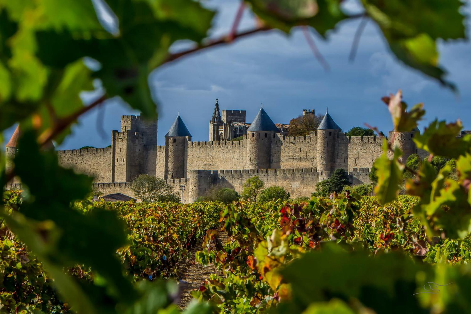 Maison Cantalauze - Pays Cathare - Carcassonne - Canal Du Midi Trèbes Esterno foto